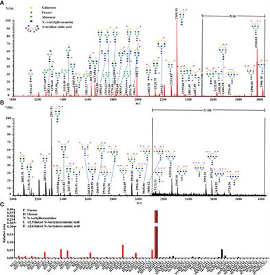Serum Protein N-Glycosylation Signatures of Neuroblastoma